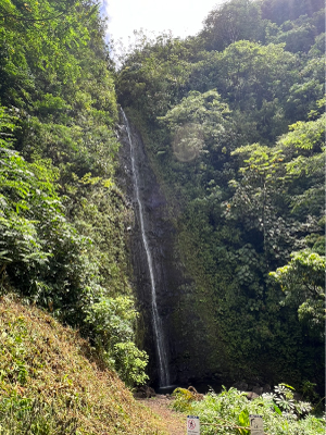 マノアの滝